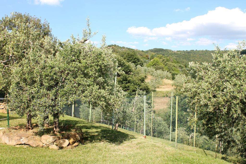 Agriturismo Malagronda Villa Ravigliano Exterior photo